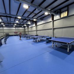 Table Tennis & More - Table tennis tables