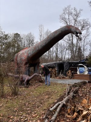 Backyard Terrors and Dinosaur Park by null