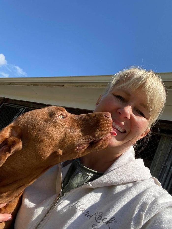 STONINGTON KENNELS Updated July 2024 16 Photos 11225 Horton Rd