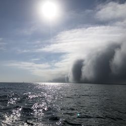 Fog Shelf