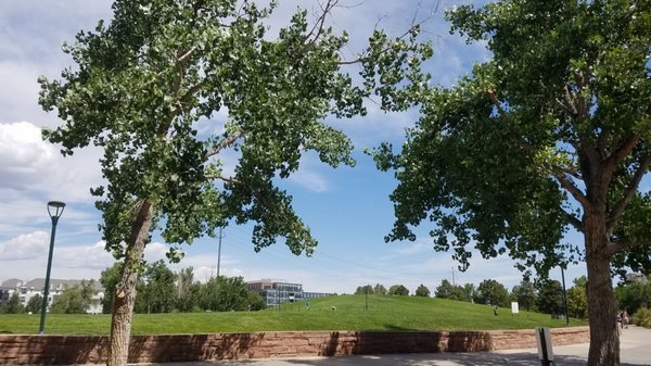 Commons Park by null