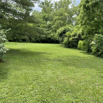 10 Yards Lawn Mowing - a view of the back yard - Lawn Services Near Me - Cincinnati, Ohio 10 Yards Lawn Mowing - a view of the back yard - Lawn Services Near Me - Cincinnati, Ohio