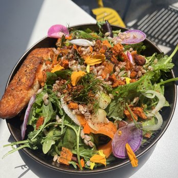 Parakeet Cafe - Del Mar - Farro Salad - Coffee & Tea Near Me - San Diego, California Parakeet Cafe - Del Mar - Farro Salad - Coffee & Tea Near Me - San Diego, California