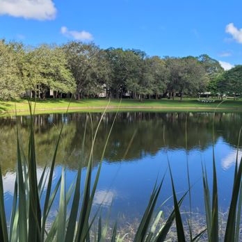 Parque Placido - Looking East - Parks Near Me - Boca Raton, Florida