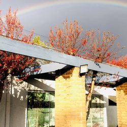 Helping Hands Massage & Aromatherapy - The magic of Helping Hands can be found right under the rainbow
