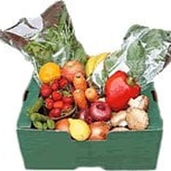Green Cuisine - Photo from official website: http://www.greencuisineorganics.net