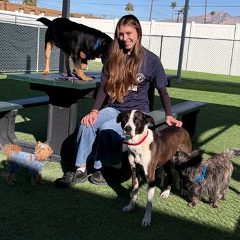 Paw Commons - Pet Training Near Me - Tucson, Arizona