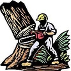Pegram Tree Service
