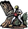 Pegram Tree Service - tree service in Greensboro, NC