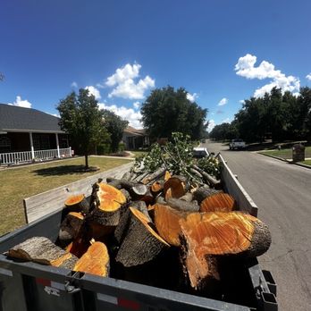 Waco Tree & Lawn Care Solutions - Tree Services Near Me Waco Tree & Lawn Care Solutions - Tree Services Near Me