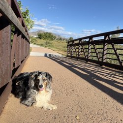 Bear Creek Lake Park Visitor Center - The bridge with a creek in Bear Creek Park