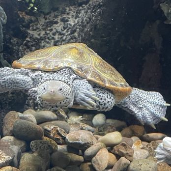 Newport Aquarium - Aquariums Near Me - Newport, Kentucky