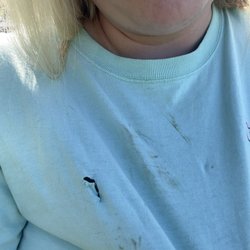 Hound Mound Dog Park - Part of my shirt