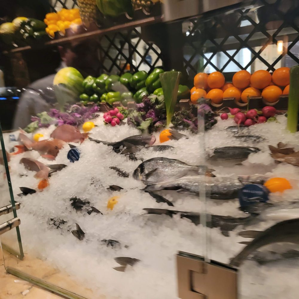 Avra 48th Street - Fish display - Seafood Near Me - New York, New York