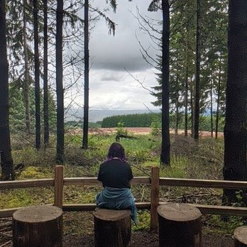 Chehalem Ridge Nature Park - Sitting and taking in the view - Hiking Near Me - Gaston, Oregon