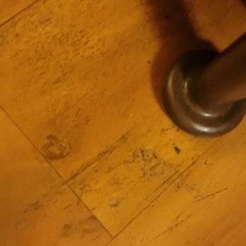Motel 6 Schiller Park, IL - SA - Floors. My feet were black from this - Hotels Near Me - Schiller Park, Illinois