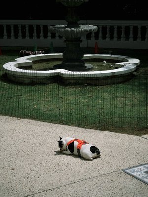 The Alkaff Mansion by null