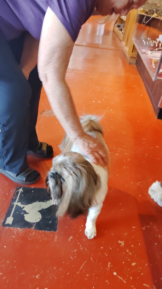 Oard's Gallery & Museum 