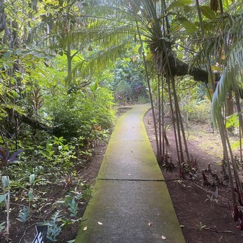 Botanical World Adventures - Scenery around check in - Botanical Gardens Near Me - Hakalau, Hawaii
