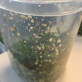 California Pizza Kitchen At Bellevue Closed 270 Photos 240