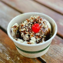 Baskin-Robbins Ice Cream & Yogurt - Two 2-scoop Sundae