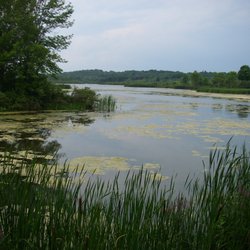 Little Cataraqui Creek Conservation Area