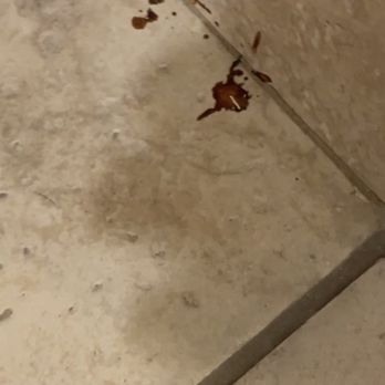 Primm Valley Resort - the blood it was in different spots throughout the bathroom - Hotels Near Me - Primm, Nevada
