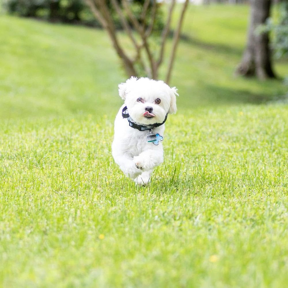 Hulk Hogan puts Gawker on the ropes in first week of trial | Mashable, image size:1000x1000