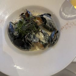 Amerigo Vespucci - Salmon, came with mussels! It was with a cream sauce that was phenomenal!