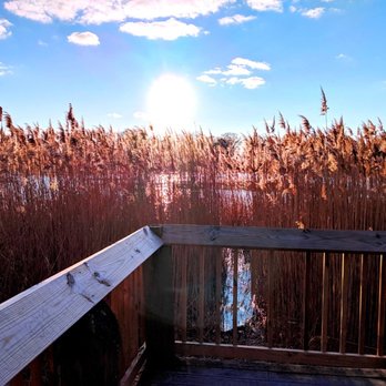 Mannington Marsh Wildlife Refuge Observation Tower - Mannington Marsh Wildlife Refuge Observation Tower - Parks Near Me - Mannington Township, New Jersey Mannington Marsh Wildlife Refuge Observation Tower - Mannington Marsh Wildlife Refuge Observation Tower - Parks Near Me - Mannington Township, New Jersey