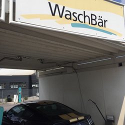 Waschbär