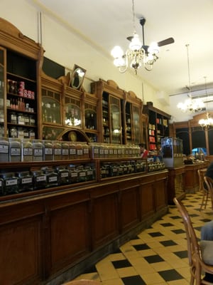 El Gato Negro by null