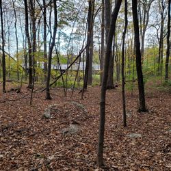 Hackett Hill Park