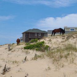 Back Country Safari Tours