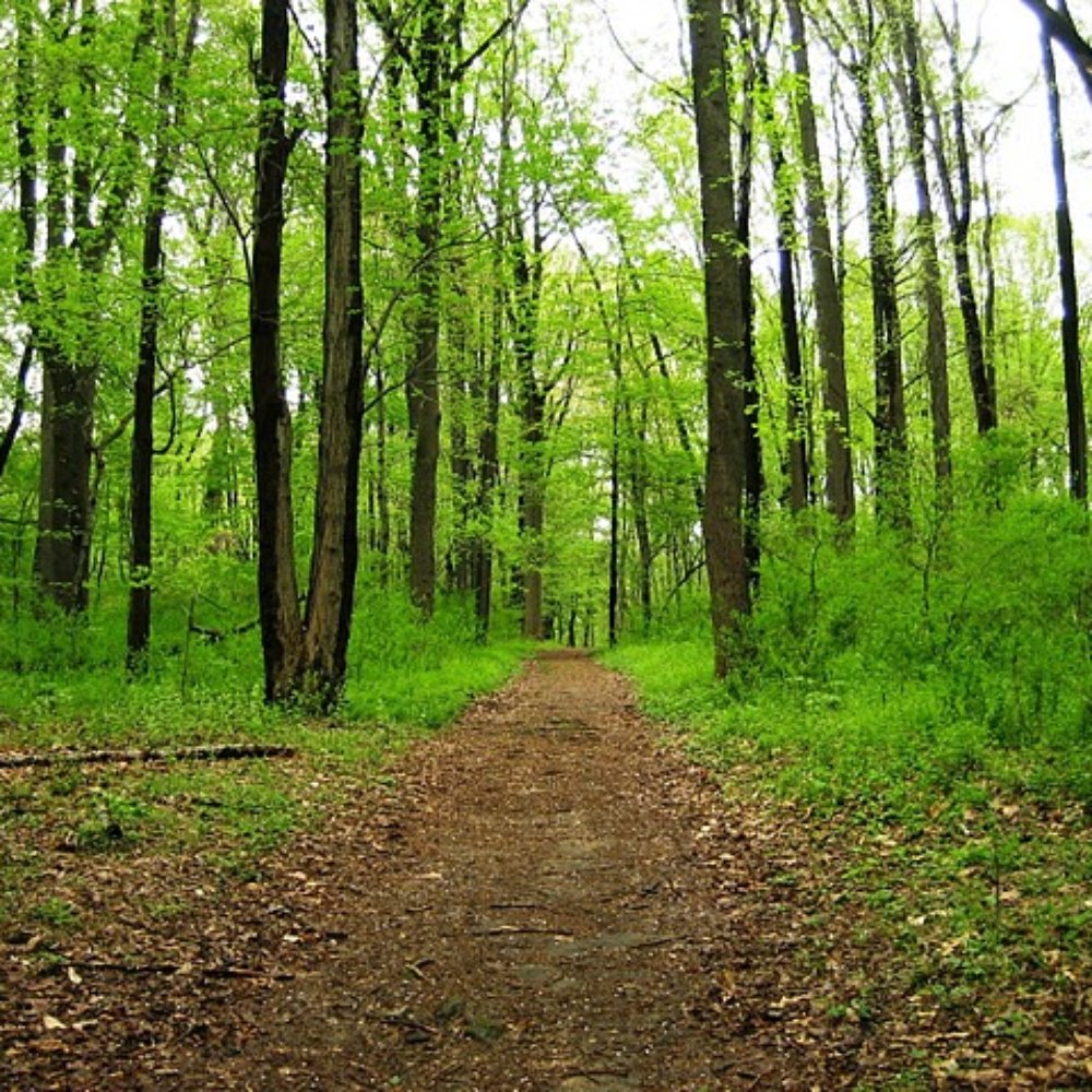 Pennypack Park - Parks Near Me - Philadelphia, Pennsylvania Pennypack Park - Parks Near Me - Philadelphia, Pennsylvania