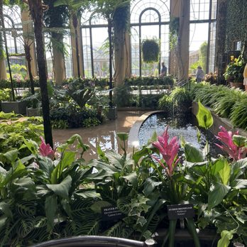 Longwood Gardens - Longwood Gardens in one of the original conservatories - Botanical Gardens Near Me - Kennett Square, Pennsylvania