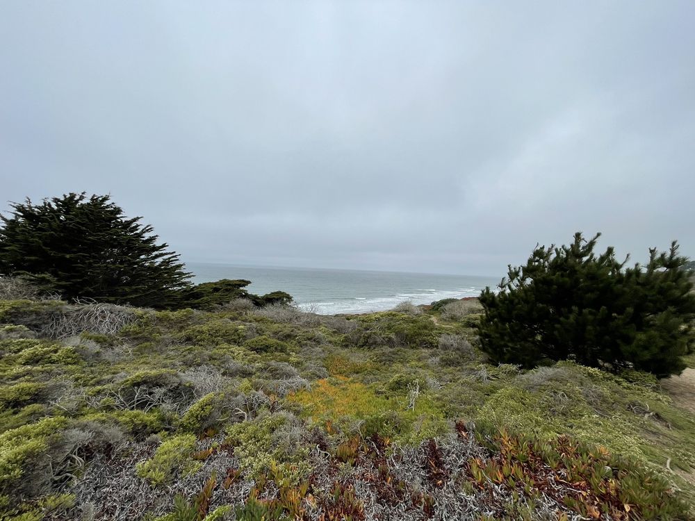 Phillip Burton Memorial Beach