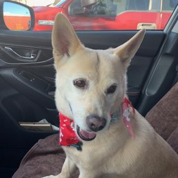 Happy Clean Roxy!