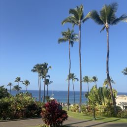 The view from the bottom of the pool chairs