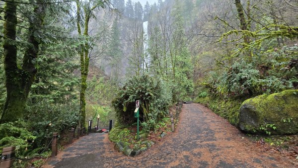 Multnomah Falls by null
