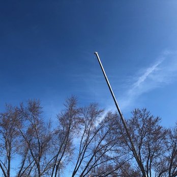 Northeast Tree Inc. - Tree Services Near Me - Woburn, Massachusetts Northeast Tree Inc. - Tree Services Near Me - Woburn, Massachusetts