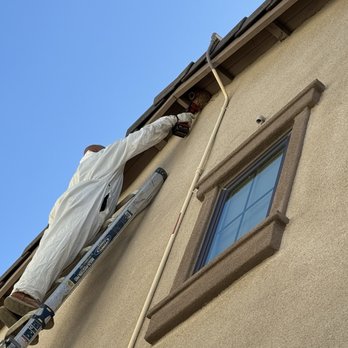 Aesthetic Wildlife Control - Removing a swallows nest. - Wildlife Control Near Me - Long Beach, California Aesthetic Wildlife Control - Removing a swallows nest. - Wildlife Control Near Me - Long Beach, California