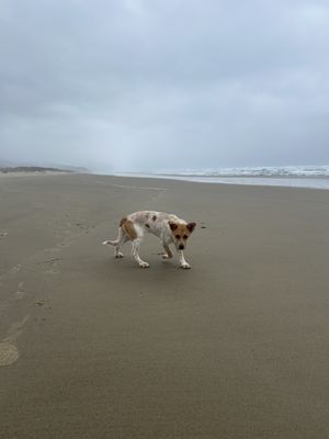 Coast Cabins by null