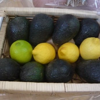 Happy Avocados - a basket of lemons and avocados - Farmers Market Near Me Happy Avocados - a basket of lemons and avocados - Farmers Market Near Me