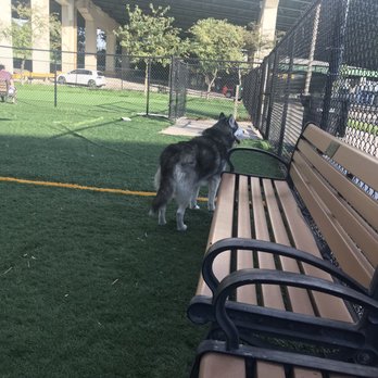 Newport Dog Park - Dog Parks Near Me - Newport, Kentucky Newport Dog Park - Dog Parks Near Me - Newport, Kentucky