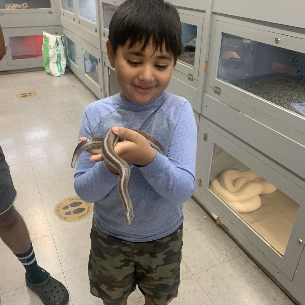 La Habra Pets - My son and Rosy Boa - Reptile Shops Near Me - La Habra, California La Habra Pets - My son and Rosy Boa - Reptile Shops Near Me - La Habra, California