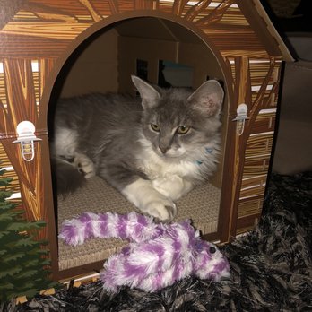 Pet Supplies Plus Fort Myers - Bart was still happy - Pet Stores Near Me - Fort Myers, Florida