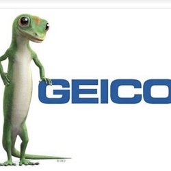 Geico Auto Insurance - GEICO
