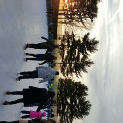 Schenley Oval