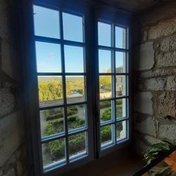 La Mandragore